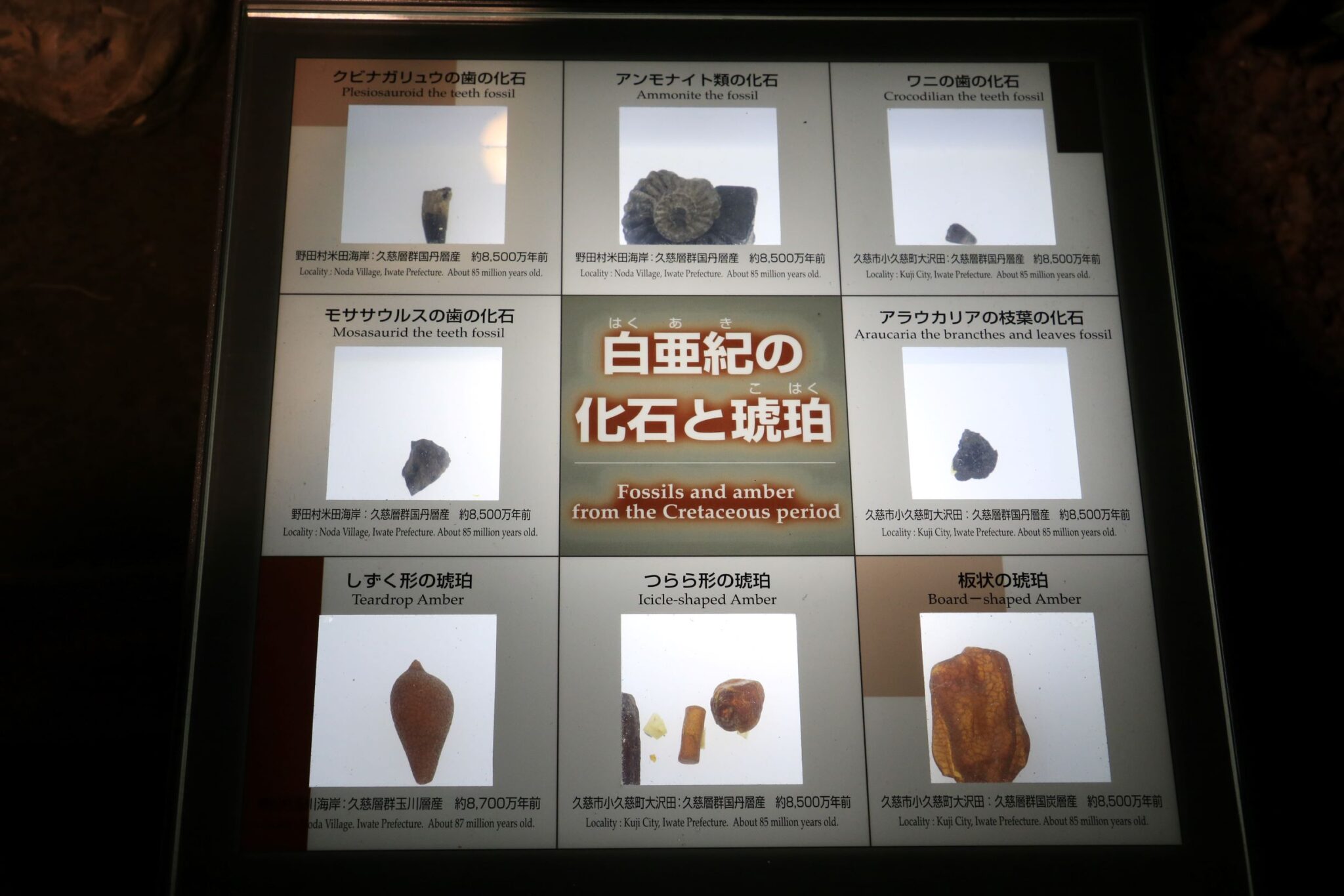 久慈琥珀博物館。日本最大の琥珀産地、太古と今をつなぐ不思議な宝石たち。
